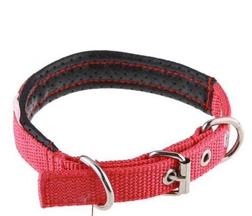 50cm Single Fastening and Adjustable Foam Dog Collar Belt Red - Click Image to Close